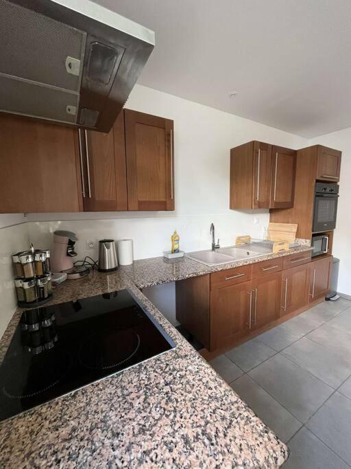 La Maison Dardenne Villeneuve-sur-Lot Ngoại thất bức ảnh